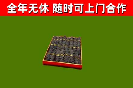 连城县回收海参